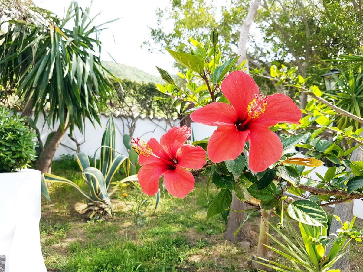 Villa Del Sogno Parghelia Eksteriør billede