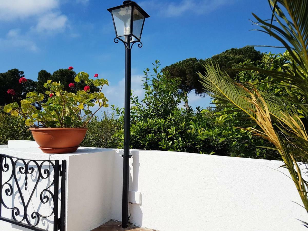 Villa Del Sogno Parghelia Eksteriør billede
